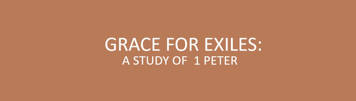 1 Peter.jpg-test5